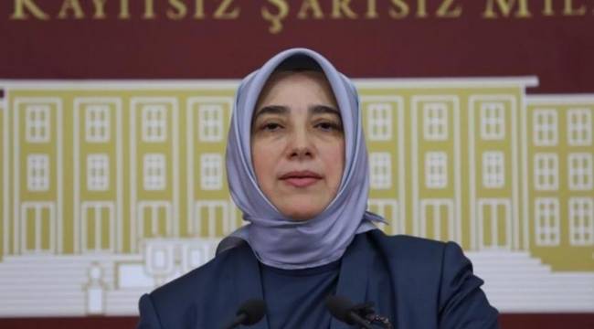 AKP'li Özlem Zengin: Cemaatse cemaat, herkes ifadeye çağrılmalı