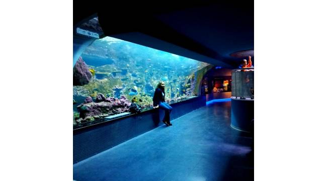 Almanya'da dev akvaryum patladı