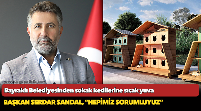 Bayraklı Belediyesinden sokak kedilerine sıcak yuva