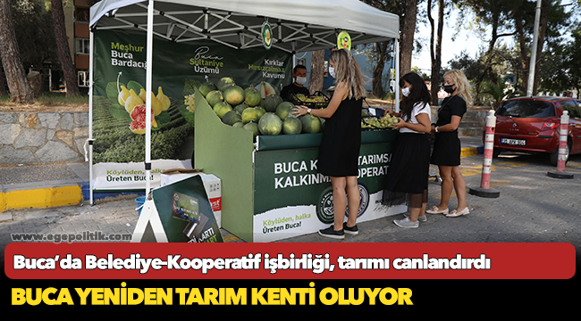 Buca’da Belediye-Kooperatif işbirliği, tarımı canlandırdı