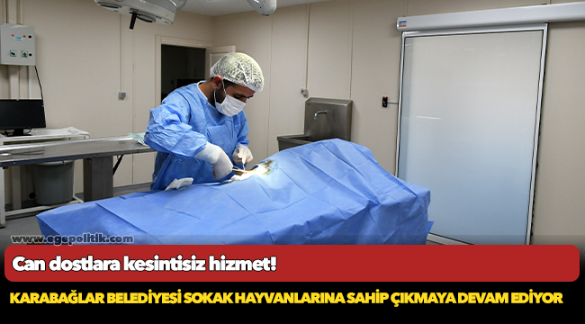 Can dostlara kesintisiz hizmet!