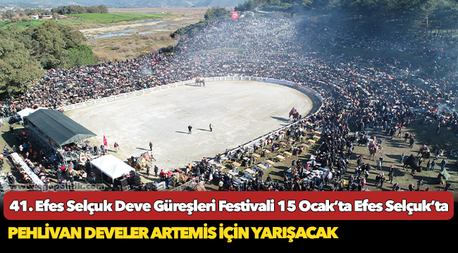 41. Efes Selçuk Deve Güreşleri Festivali 15 Ocak’ta Efes Selçuk’ta