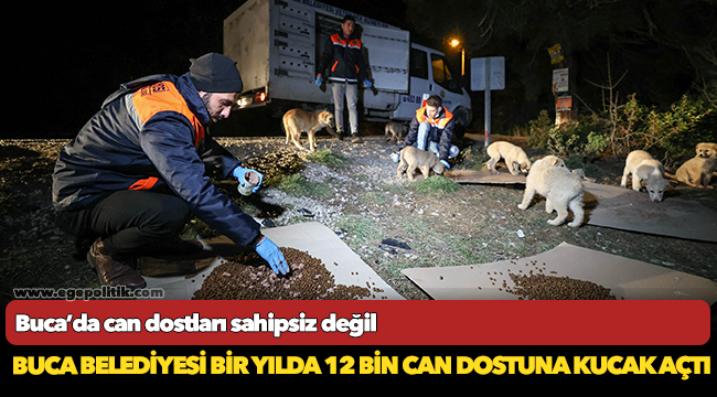 Buca Belediyesi bir yılda 12 bin can dostuna kucak açtı