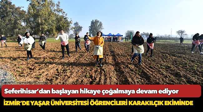 İzmir’de Yaşar Üniversitesi öğrencileri karakılçık ekiminde