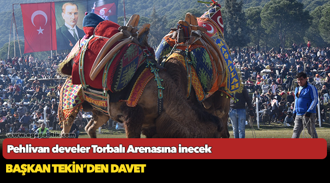 Pehlivan develer Torbalı Arenasına inecek