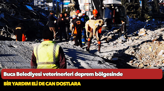 Buca Belediyesi veterinerleri deprem bölgesinde