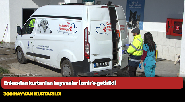 Enkazdan kurtarılan hayvanlar İzmir’e getirildi