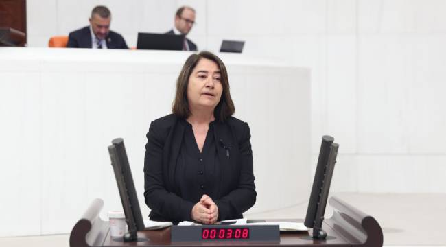 HDP'li vekil; Bakan Yanık'a refakatsiz çocukların kaybolduğu iddialarını sordu