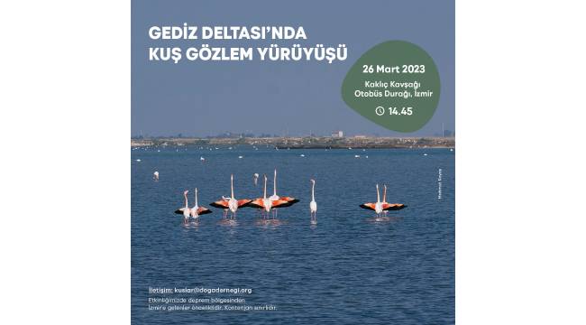 Gediz Deltası’nda kuş gözlem yürüyüşü