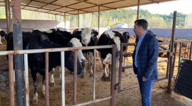 Hayvancılıkta şap hastalığı paniği: &#039;İthal edilenler ne olacak?&#039;