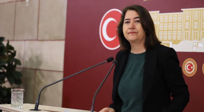 HDP'li vekilden Fuat Oktay'a soru önergesi!