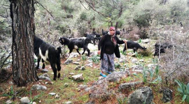 Böyle giderse etin kilosu 1 milyonu bulacak!