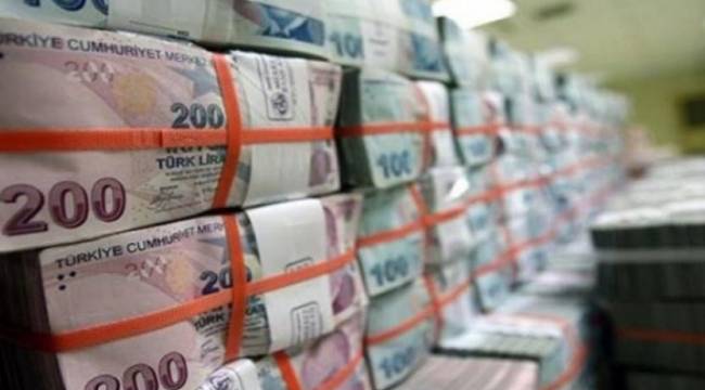 Hazine yaklaşık 10 milyar lira borçlandı