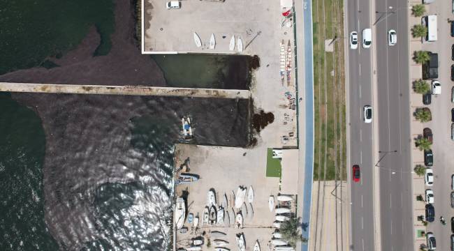 Bostanlı sahilinde deniz marulu temizliği