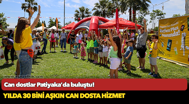 Can dostlar Patiyaka’da buluştu!