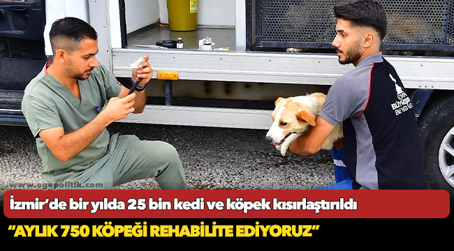 İzmir’de bir yılda 25 bin kedi ve köpek kısırlaştırıldı