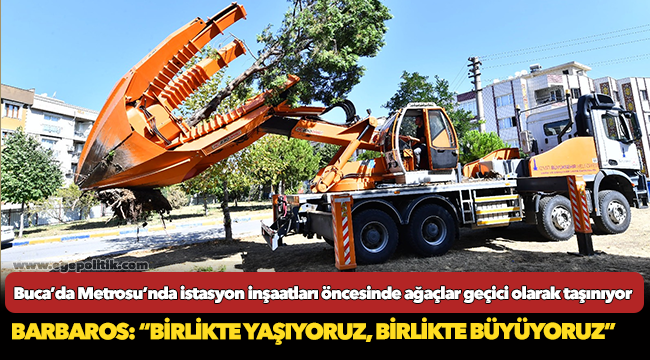 Buca’da Metrosu’nda istasyon inşaatları öncesinde ağaçlar geçici olarak taşınıyor
