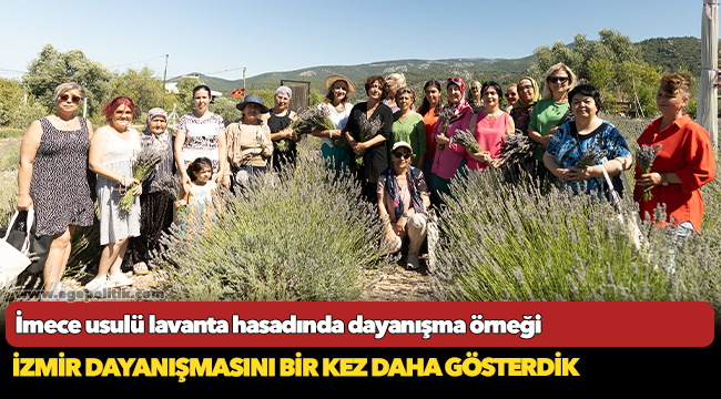 İmece usulü lavanta hasadında dayanışma örneği