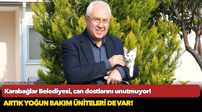 Karabağlar Belediyesi, sokakta yaşamlarını sürdüren can dostlarımızı unutmuyor!