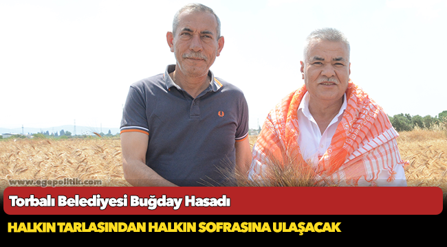 Torbalı Belediyesi buğday hasadını tamamladı