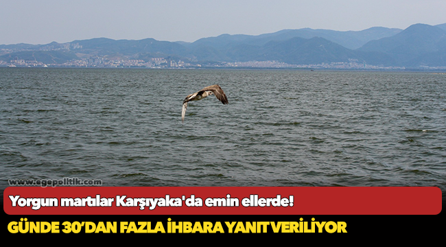 Yorgun martılar Karşıyaka'da emin ellerde!