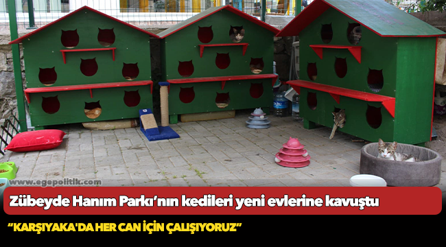 Zübeyde Hanım Parkı’nın kedileri yeni evlerine kavuştu