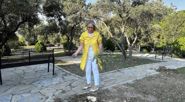 AK Partili Çankırı Bornova'daki Ağaç Katliamına Ateş Püskürdü:  Çevreci diye geçinenler, finansörleri tarafından izindeler galiba”