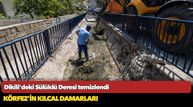 Dikili’deki Sülüklü Deresi temizlendi