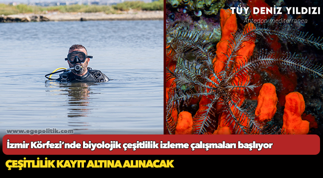 İzmir Körfezi’nde biyolojik çeşitlilik izleme çalışmaları başlıyor