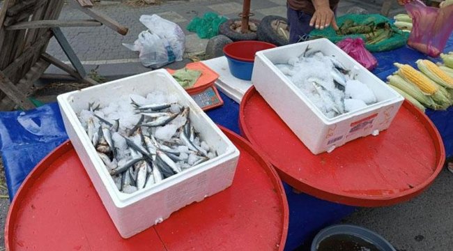 Balık fiyatları düşüşe geçti