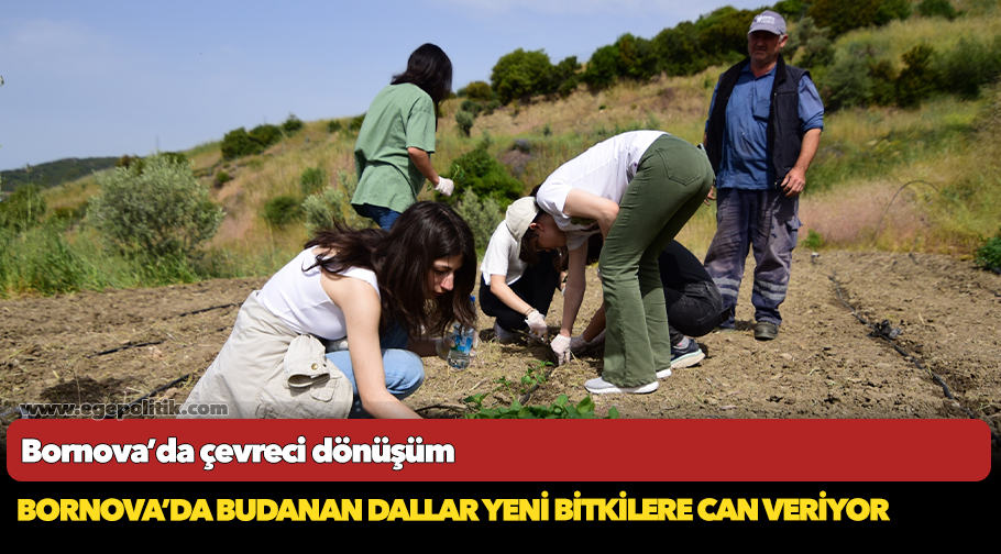 Bornova’da çevreci dönüşüm