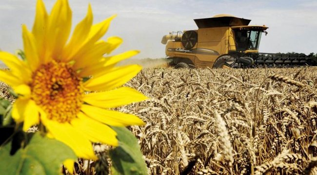 İki yıldır üst üste Rusya’dan tahıl rekoru