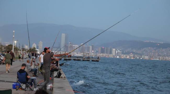 İzmir Körfezi’nin su kalitesinde iyileşme