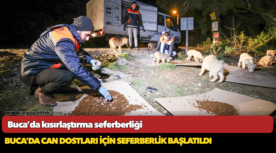 Buca’da kısırlaştırma seferberliği