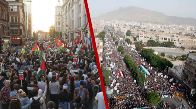 Dünya Filistin için ayakta: 'Filistin özgür olacak!'