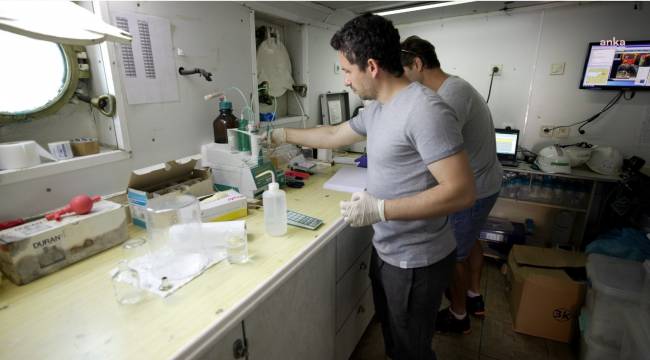 İzmir Körfezi’ndeki İyileşmeyi Raporlar Da Doğruluyor