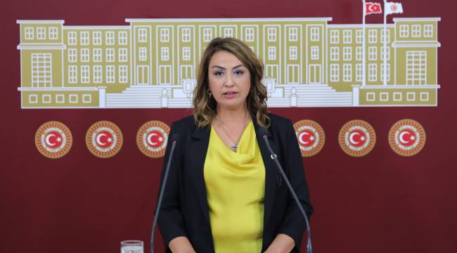 Nermin Yıldırım Kara, Elektrik Kesintileri Depremzedeleri Canından Bezdirdi