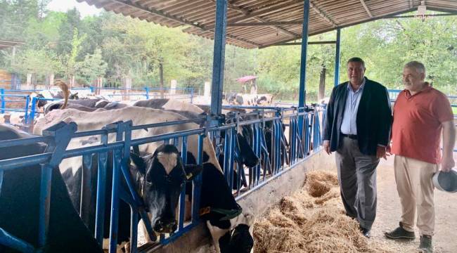 Niğdeli besici Kenan Pamukçu: “Paramızı faize yatırsak daha çok kazanırız”