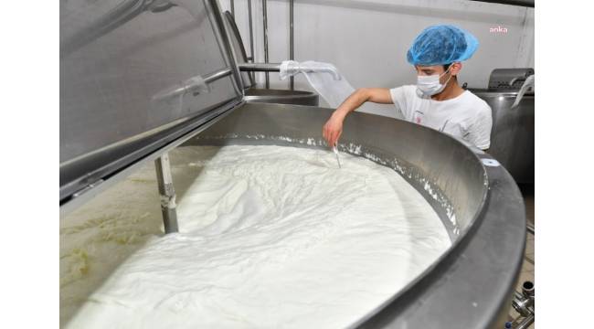 Türk: İçme Sütü Üretimi Bir Yılda Yüzde 7,9 Azaldı