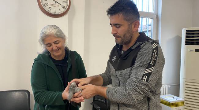 Yaralı güvercini kurtaran Safranbolulu vatandaş: "Hayvanların farkında olalım, onların merhamete ihtiyacı var’’