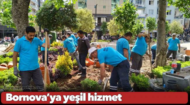 Bornova’ya yeşil hizmet