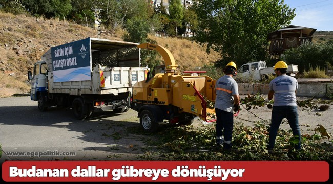 Budanan dallar gübreye dönüşüyor