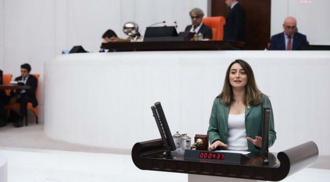 Aysu Bankoğlu: “Engelli vatandaşlarımızın aylıkları acilen insan onuruna yakışır bir seviyeye yükseltilmeli ve bu ayıba son verilmelidir”