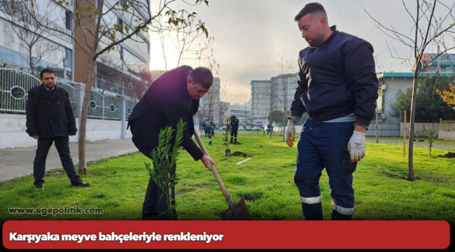 Karşıyaka meyve bahçeleriyle renkleniyor