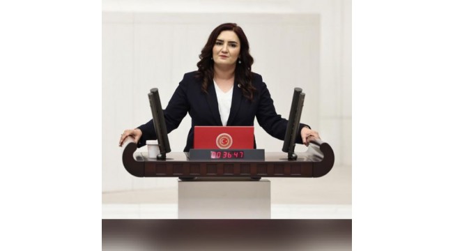 CHP'li Kılıç, "Kadın cinayetlerinin en çok işlendiği ikinci il İzmir"