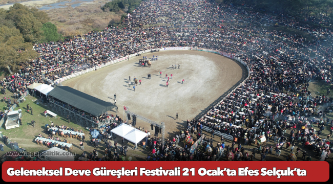 Geleneksel Deve Güreşleri Festivali 21 Ocak’ta Efes Selçuk’ta başlıyor