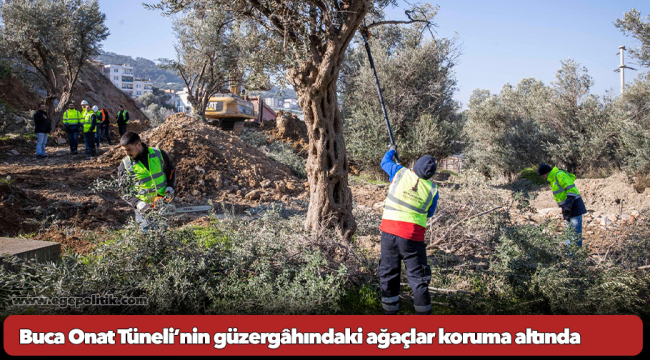 Buca Onat Tüneli’nin güzergâhındaki ağaçlar koruma altında