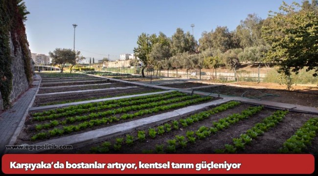Karşıyaka’da bostanlar artıyor, kentsel tarım güçleniyor