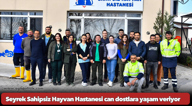 Seyrek Sahipsiz Hayvan Hastanesi can dostlara yaşam veriyor