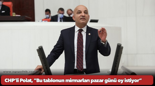 CHP’li Polat, “Bu tablonun mirmarları pazar günü oy istiyor”